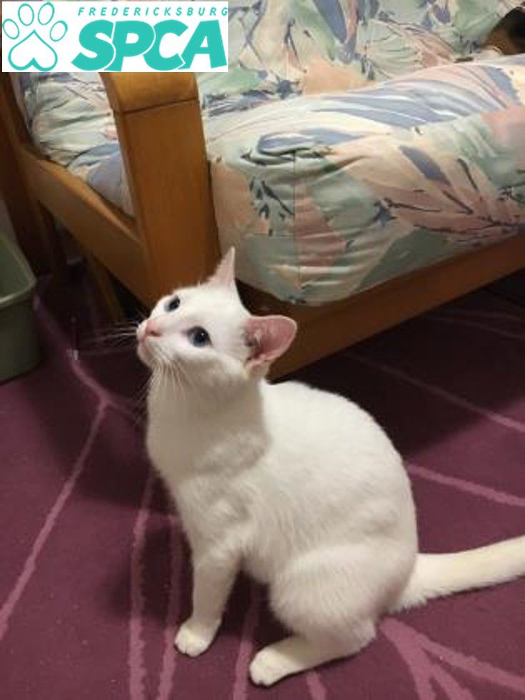 FXBG_Le Mew